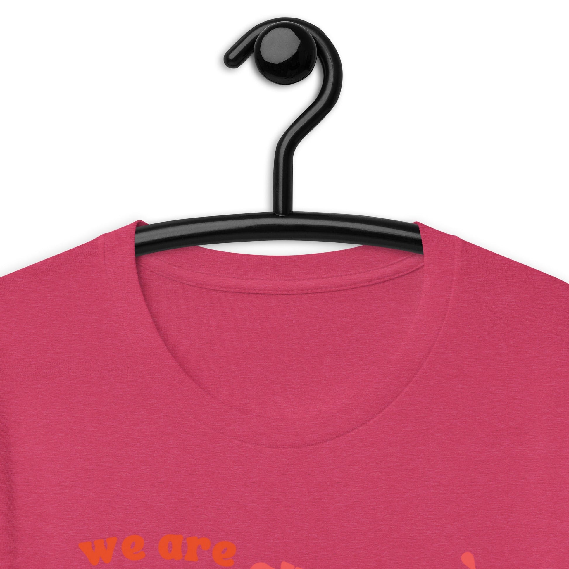 We Are All Human LGBTQIA+ Ally Supporter Unisex t-shirt - ActivistChic