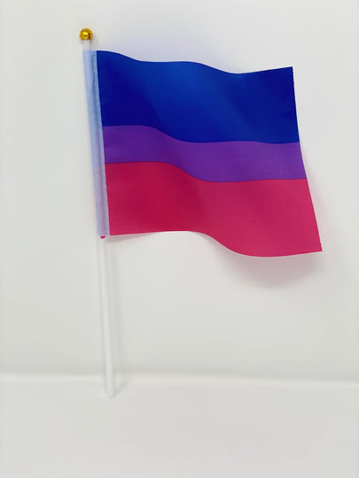 Bisexual Pride Gift Box | Bi Coming Out Gift | LGBTQIA+ Gift - ActivistChic