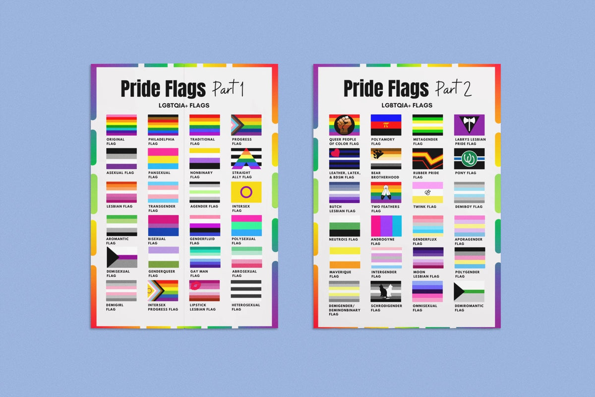 LGBTQIA+ Pride Flags Poster | Pride Flags 1 & 2 | LGBTQ Flag | LGBT Gi ...