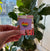 Rainbow Heart Flag Pride Enamel Pin |Subtle LGBTQIA+ Rainbow Flag Pin | LGBT Pride Pin | Pride Month Gifts - ActivistChic