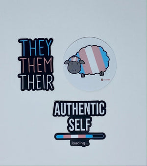 Transgender Pride Gift Box | Coming Out Gift | LGBTQIA+ - ActivistChic